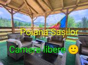 Poiana Sașilor - Valea Doftanei