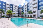 Top Tampa