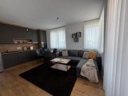 Top Sjenica