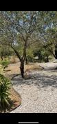 Top Datca