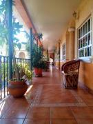 Top Morelia