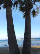 Top Larnaka