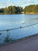 Top Gungahlin