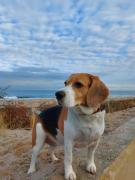 Moment na Przystań A030