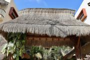 Top Isla Holbox