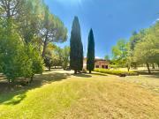 Top Pergine Valdarno