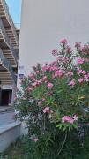 Oleandar apartment Split