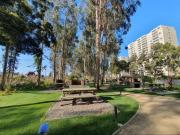Top Algarrobo