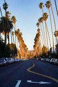 Top Los Angeles