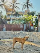 Top Puducherry