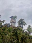 Paradise Jungle