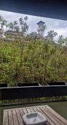 Paradise Jungle