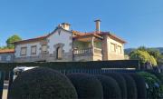 Top Baiona