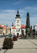 Top Žatec
