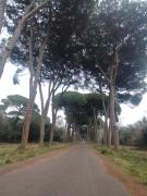 Top Pisa