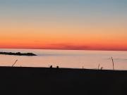 Top Pesaro