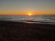Top Pesaro
