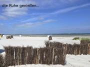 Top Wendtorf