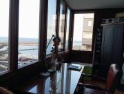 Top Bisceglie