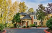 Top Bellevue