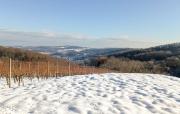 Top Varaždinske Toplice