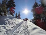 Top Sarntal