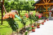 Apartmani Family Nikolic