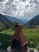 Top Uzungol