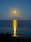 Top Koroni