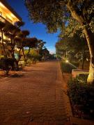 Top Koroni