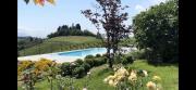 Top Montegrosso dʼAsti