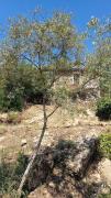 Briciole di Pietra B&B