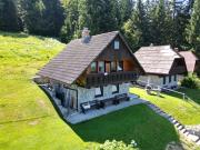 Private Forest Cabin with Epic View