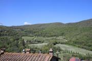 Top Castel Focognano