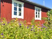 Top Hammarstrand