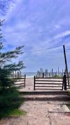Top Alleppey