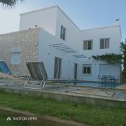 Top As-Suwajra