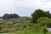 Top Cambados