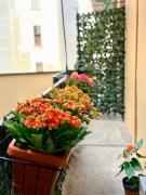 UrbanSuite Torino