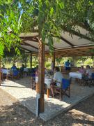 Top Ancient Epidavros