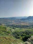 Top Gerace