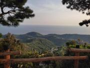 Top Pollica