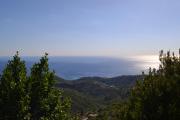 Top Pollica