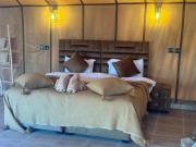 Merzouga Oasis luxury camp