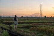 Top Ubud