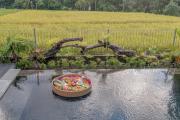 Top Ubud