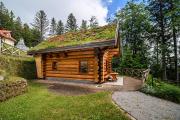 Top Pohorje