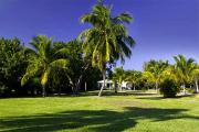 Top Captiva