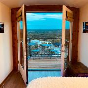 Top Cottonwood Shores