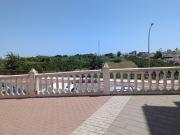 Top Daimuz